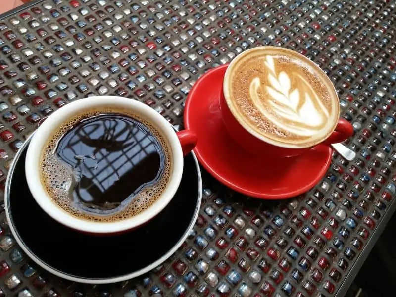 Cappuccino vs Drip Coffee And Latte