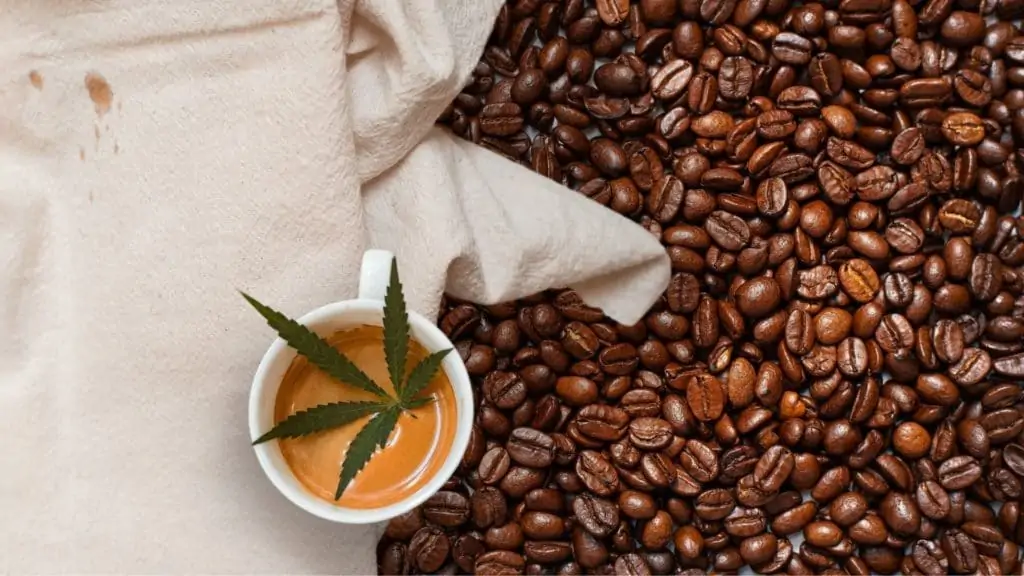 image showing a cbd coffee illustration with a hemp plant in a cup of coffee surrounded by beans
